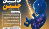فراخوان مقاله همایش بین المللی تحلیل های اخلاقی حامیان جنین